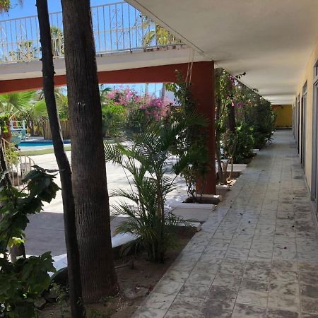 Hotel Calafia 拉巴斯 外观 照片