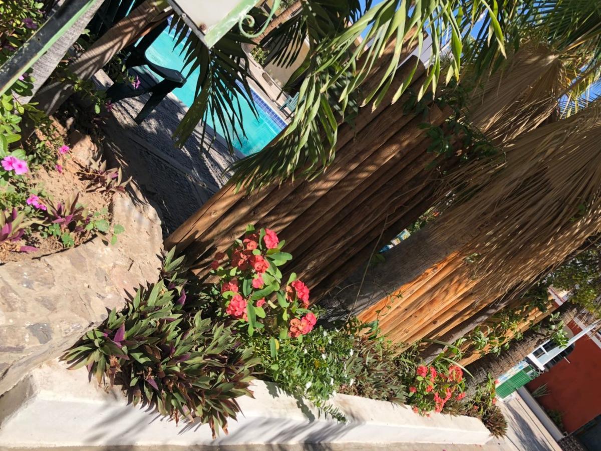 Hotel Calafia 拉巴斯 外观 照片